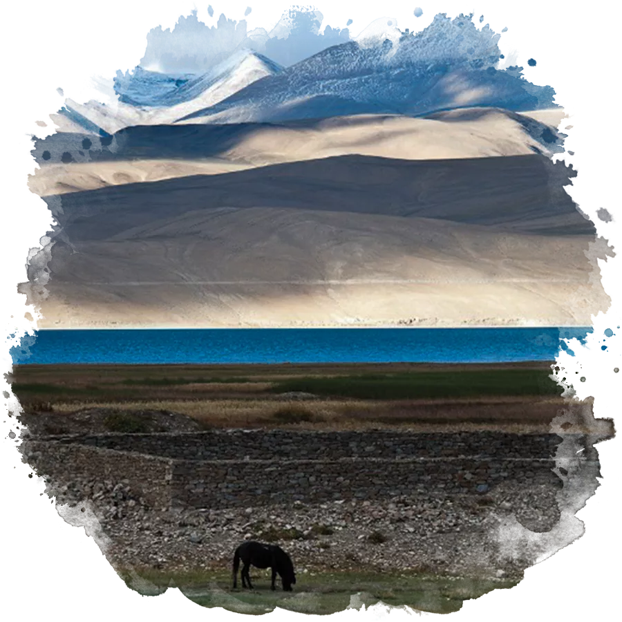 Lac du zanskar et du ladakh avec un cheval zanskarpien